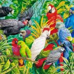Parrots Paradise