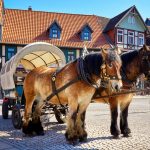 Carriage in the Old Town of Wernigerode, Germany