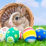 Bunny and Easter Eggs