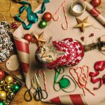 Cat in a Sweater among Christmas Tree Decorations